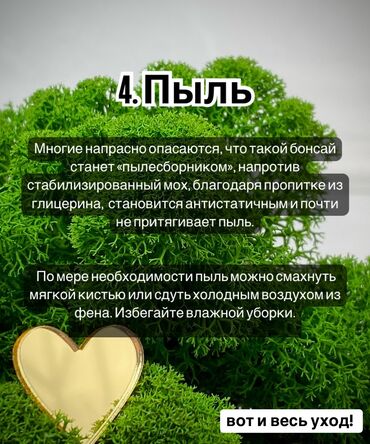 Декоративные цветы: В переводе с японского Бонсай означает «дерево, выращенное в блюде» at lalafo.kg — 15 Декоративные цветы: В переводе с японского Бонсай означает «дерево, выращенное в блюде» — 15