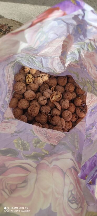 Сухофрукты, орехи, снеки: Продам орехи жалал Абадский в наличии 7 тонн