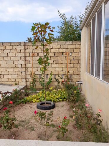 Bağ evlərinin satışı: Bakı, Kürdəxanı qəs., 38 kv. m, 1 otaqlı, Hovuzlu, Su, Kanalizasiya, Kombi -da lalafo.az — 24 Bağ evlərinin satışı: Bakı, Kürdəxanı qəs., 38 kv. m, 1 otaqlı, Hovuzlu, Su, Kanalizasiya, Kombi — 24