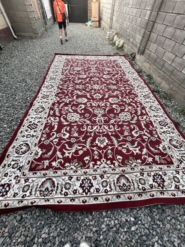 комнатные растения ош: Килем Колдонулган, 500 * 300, Накталай эмес/накталай төлөм