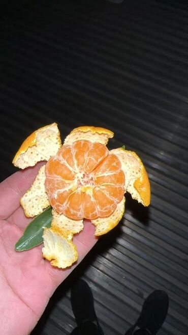 сколько стоит букет из мандаринов: Мандарины Оптом