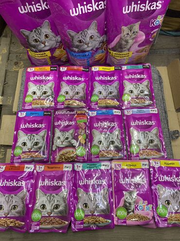 цена сфинкса: Whiskas для кошек Влажный корм 35 сом Сухой корм 200 сом Есть и