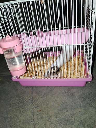 ev goyercinleri: Mini hamster üçün qəfəs dəsti - Kompakt ölçülü, iki səviyyəli metal — 1