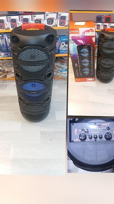 iphone 11 irsad telecom: Karaoke portativ akustik sistemi – GY-8306 - Model: GY-8306 - Tip — 1
