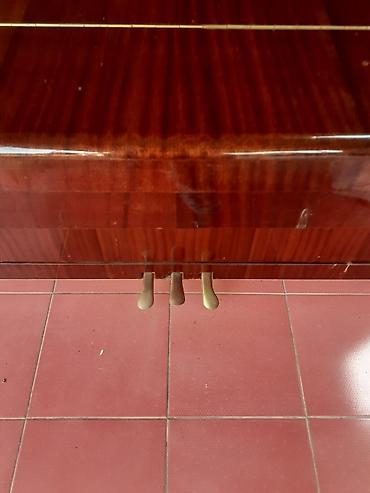 Pianolar: Piano, Belarus, Akustik — 8