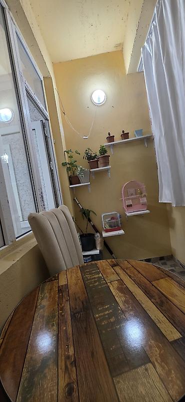 Qonaq otağı dəstləri: 55000 Saray Mtk ilkin ödeniş 55000 endirim olunacaq 14/6 ponorama — 7
