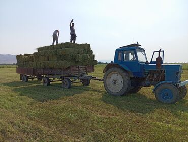 трактор лово: МТЗ 80 сатылат