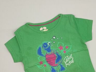 koszule hawajskie: T-shirt, 3-4 years, 98-104 cm, condition - Very good