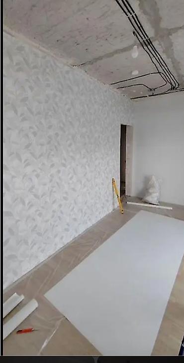 Другие виды отделочных работ: Больше 6 лет опыта — 3