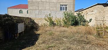 Torpaq sahələrinin satışı: Kənd təsərrüfatı, Kupça (Çıxarış) — 4