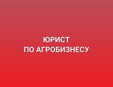 Юридикалык кызматтар | Ишкердик укугу | Консультация lalafo.kg да Юридикалык кызматтар | Ишкердик укугу | Консультация