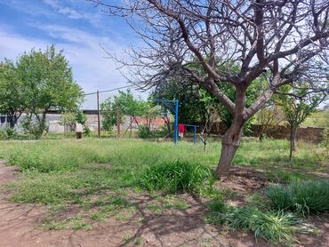 Həyət evləri və villaların satışı: 3 otaqlı, 800 kv. m, Kredit var, Orta təmir -da lalafo.az — 12 Həyət evləri və villaların satışı: 3 otaqlı, 800 kv. m, Kredit var, Orta təmir — 12