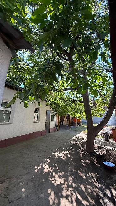 Продажа барачных домов: Жет там сатылат 3 комната + вереманкасы менен Район : Эне Сай — 15