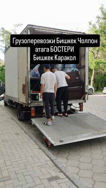 настольные лампы в бишкеке: Бус, Переезд, перевозка мебели, По региону, По городу, с грузчиком