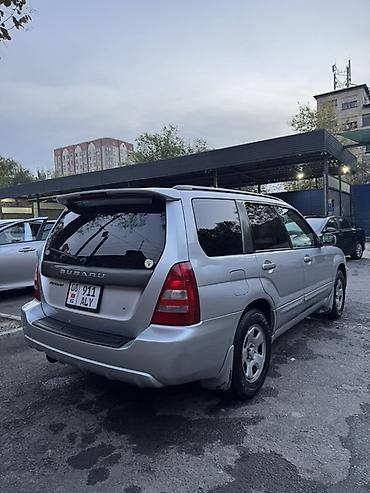 туманик форестер: Subaru Forester: 2004 г., 2.5 л, Автомат, Бензин, Кроссовер — 5