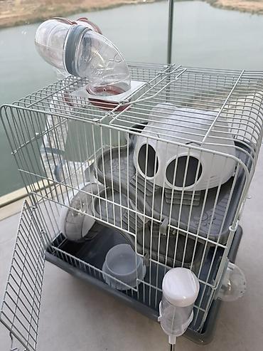 heyvan evi: Hamster üçün çoxmərtəbəli qəfəs və aksesuar dəsti hamisi bir yerde — 3