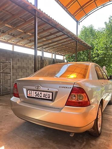 dodge caliber: Toyota Corolla: 2005 г., 1.6 л, Механика, Бензин, Седан — 1