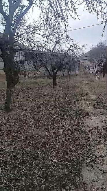 Həyət evləri və villaların satışı: Satılır: həyət evi Təsvir: - Bir mərtəbəli, beton/daş konstruksiyalı — 7