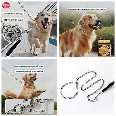 Продажа собак: ПРОДАЮ ОШЕЙНИКИ,ШЛЕЙКИ ДЛЯ МЕЛКИХ,СРЕДНИХ И КРУПНЫХ СОБАК.А ТАК ЖЕ — 10