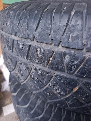 195 65 14 с: Пара автомобильных шин Michelin. 2 штука - Тип: летние (рисунок — 3