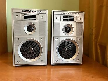 se electronics: Акустическая система Вега 25АС-101 (пара) - Формат: полочная — 1