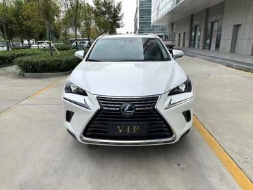 фолсфаген голф 2: Lexus NX: 2019 г., 2.5 л, Гибрид