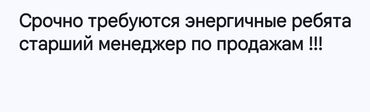 вакансии санитарки: Срочно требуется старший менеджер по продажам в дружную команду!!!