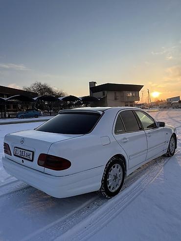 Mercedes-Benz: Mercedes-Benz E-Class: 1996 г., 3 л, Механика, Дизель, Седан — 7
