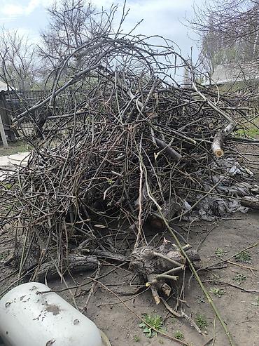 Дрова: Дрова Орех, Самовывоз — 5