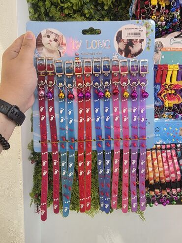 Xaltalar, qayışlar və tasmalar: Pişik və mini itlər üçün boyunbağılar. Taksilə çatdırılma xidmətimiz — 24