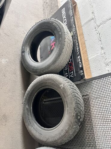 шины трактора: Шины 175 / 80 / R 14, Зима, Пара, Легковые, Dunlop