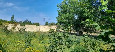 Torpaq sahələrinin satışı: 10 sot, Tikinti, Mülkiyyətçi, Kupça (Çıxarış) — 8