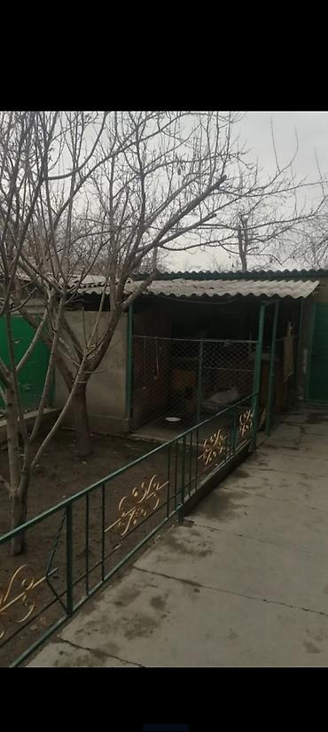66 м², 3 комнаты, Церковь