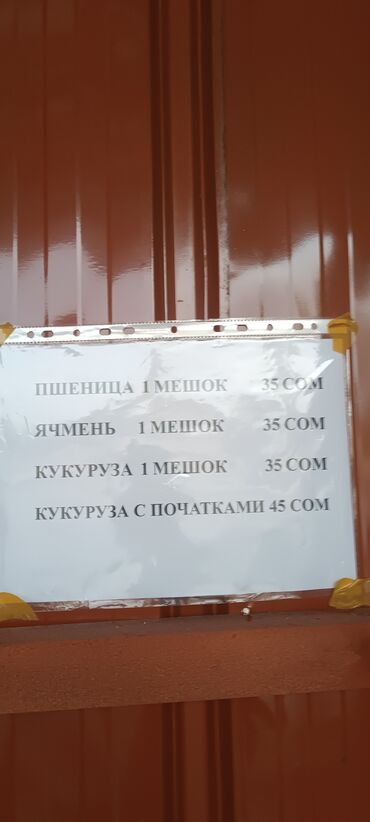 дом на иссык куле купить: Другие услуги