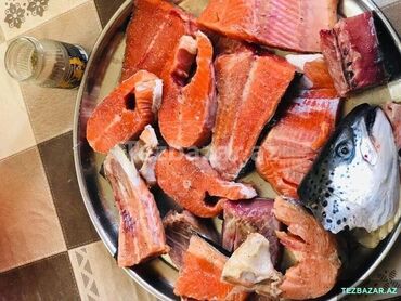 Balıq və dəniz məhsulları: ✅Syomqa (Somon) Qizil balıq ✅Okeandan Tutulub ✅ Təmizlənmiş Syomqa — 7