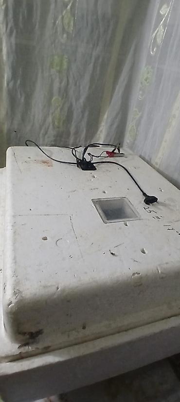İnkubatorlar: Ev quşlarının yumurtadan çıxarılması üçün inkubator - Material: qalın — 1