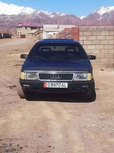 титан ауди 100: Audi 100: 1989 г.