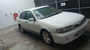 алмеро тино: Nissan Almera: 1999 г., 1.6 л, Автомат, Бензин, Седан