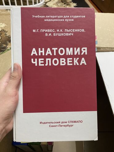 Книги, журналы, CD, DVD: М.Г. Привес " Анатомия человека "
Состояние отличное! at lalafo.kg Книги, журналы, CD, DVD: М.Г. Привес " Анатомия человека "
Состояние отличное!
