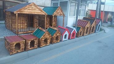 Yuvalar: Darvazabazari.az oz mehsullarin teqdim Edir Diqqetle Oxuyum Bu — 1