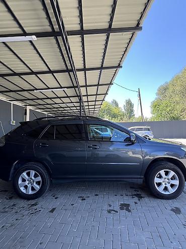 Lexus: Lexus RX: 2004 г., 3.3 л, Автомат, Бензин — 13
