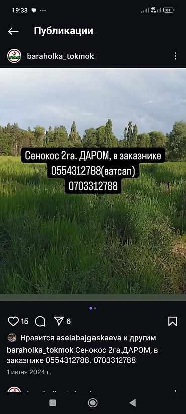 Отдам даром: Токмок. Сенокос, площадь 2 га. Расположен в заказнике. Указано — 1