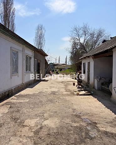4: ‼️Цена снижена 142 000$‼️ 🏠Продается дом в с. Беловодское 🟡4- жилых — 2
