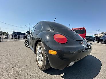 жук жабан: Volkswagen Bettle: 2004 г., 2 л, Автомат, Бензин, Хэтчбэк — 5
