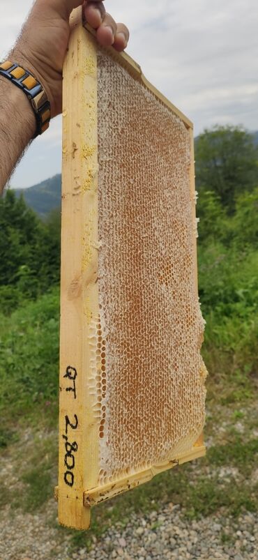 Bal: Elf bee's 1977 eco product for health and longevity tovuzun -da lalafo.az — 2 Bal: Elf bee's 1977 eco product for health and longevity tovuzun — 2