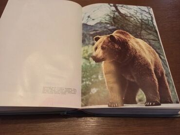 Knjige i stripovi: BREM Kako žive životinje Dobro očuvana knjiga iz 1967g. Izdavač — 19