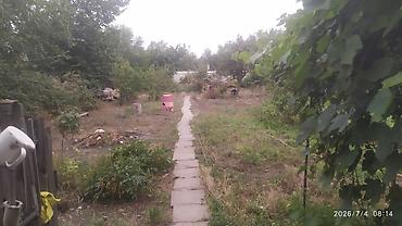 Продажа коттеджей и домов: Продается два небольших дома, площадью 80 КВ.м. На большом участке — 5