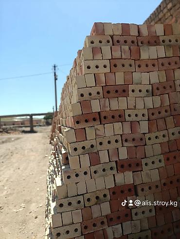 m100: Пустотелый, дырчатый, Жженый кирпич, Полублок, 250×120×90 — 3