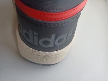 мужские зимние обувь: Мужские кроссовки, 42.5, Adidas, Новый, цвет - Черный — 3