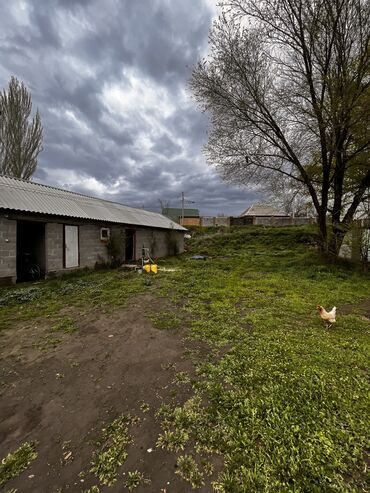 село ленинское участок: 6 соток, Для строительства, Красная книга, Договор купли-продажи